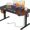 Electric Standing Desk with Power Outlets and USB-C Port, 47 X 24 Inch Height Adjustable Desk
