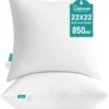 Oubonun 18 x 18 Throw Pillow Inserts (Pack of 2)