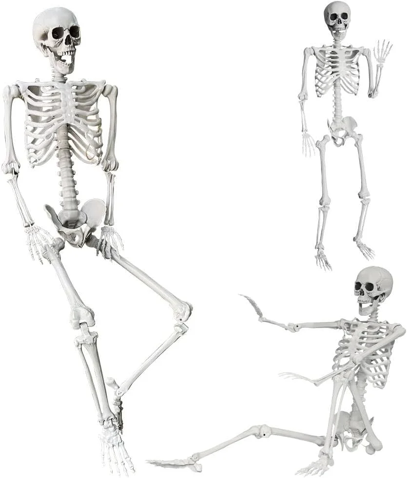 5.4Ft/165cm Halloween Skeleton Full Body Life Size Human Bones with Movable Joints for Indoor Outdoor Halloween Props Decorations