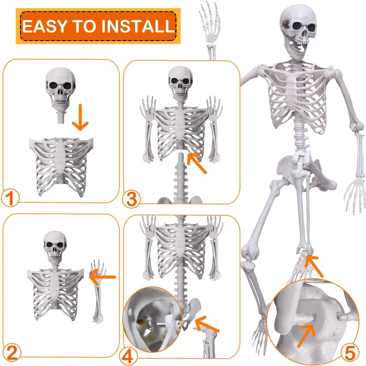 5.4Ft/165cm Halloween Skeleton Full Body Life Size Human Bones with Movable Joints for Indoor Outdoor Halloween Props Decorations - Image 3