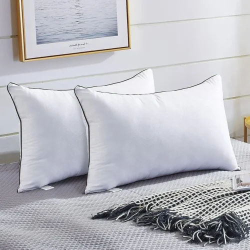 JOLLYVOGUE Pillows Queen Size 2 Pack for Sleeping, Soft and Supportive Bed Pillow for Side and Back Sleeper, Down Alternative Hotel Collection Pillows-20 x30